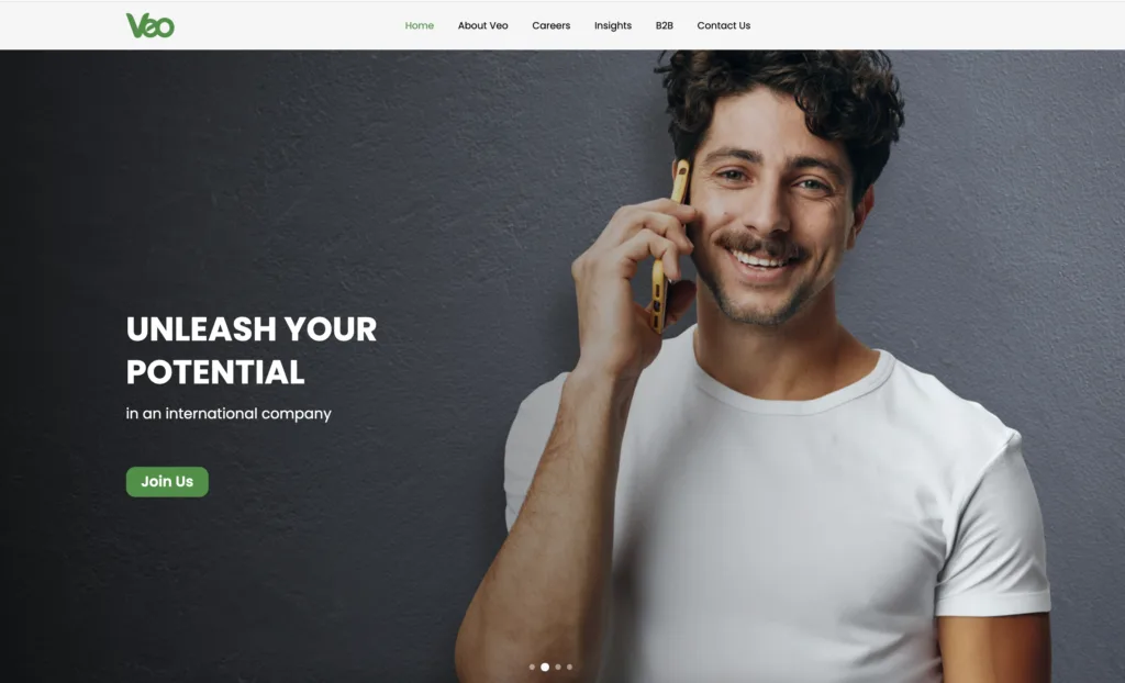 VEO Worldwide website